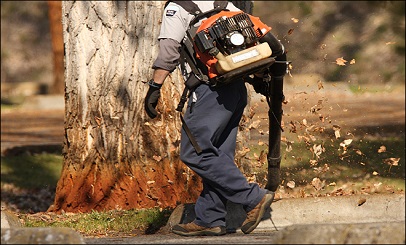 Leaf Blower