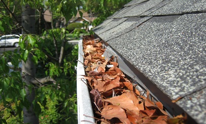 Gutter Cleaning