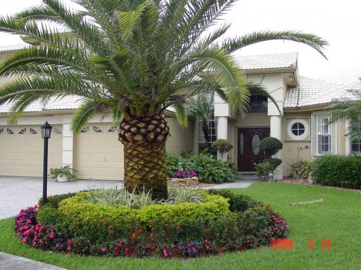 Landscaped Home
