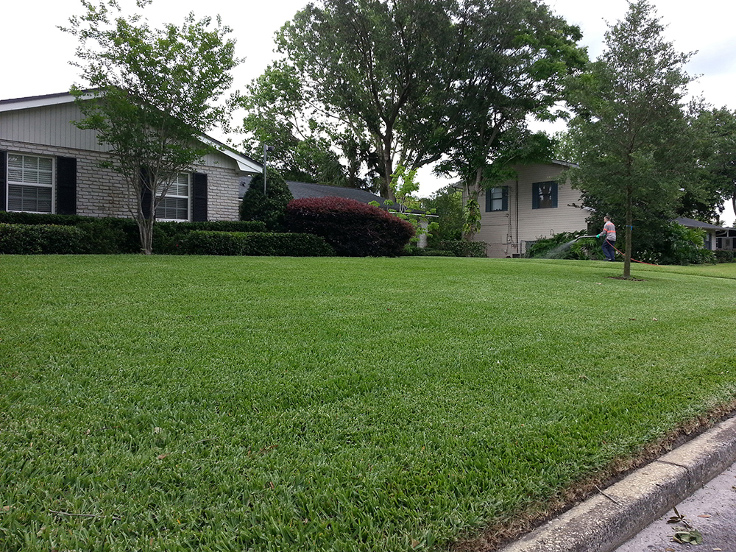 Landscaped Home